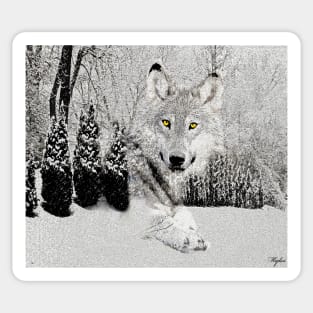 WOLF AND SNOW Sticker